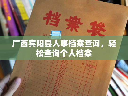 广西宾阳县人事档案查询，轻松查询个人档案