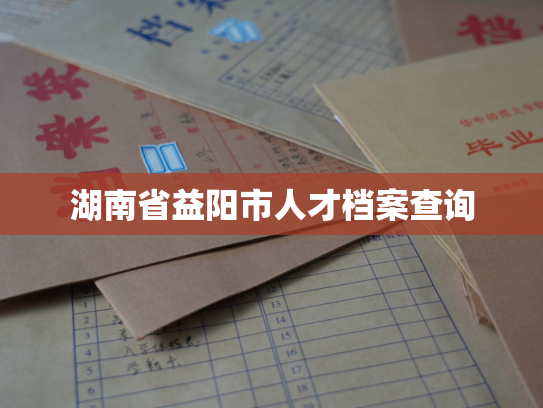 湖南省益阳市人才档案查询