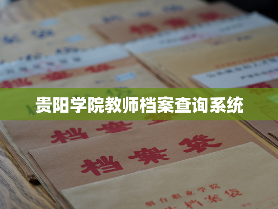 贵阳学院教师档案查询系统