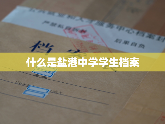 什么是盐港中学学生档案