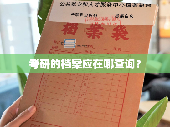 考研的档案应在哪查询？