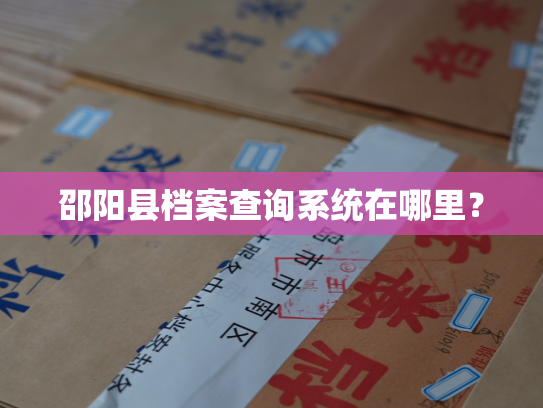 邵阳县档案查询系统在哪里？