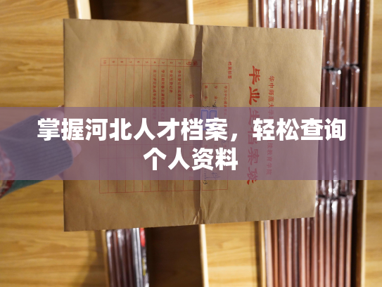 掌握河北人才档案，轻松查询个人资料