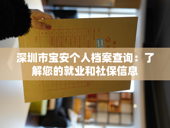 深圳市宝安个人档案查询：了解您的就业和社保信息