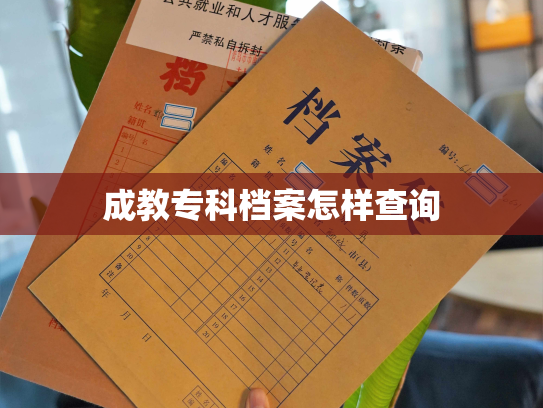 成教专科档案怎样查询