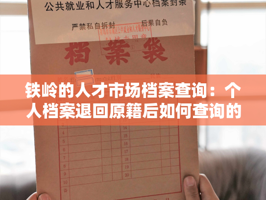 铁岭的人才市场档案查询：个人档案退回原籍后如何查询的指南