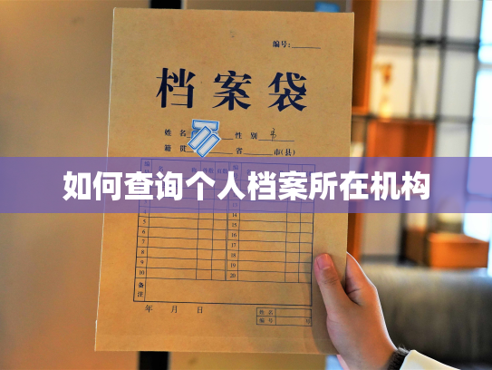 如何查询个人档案所在机构