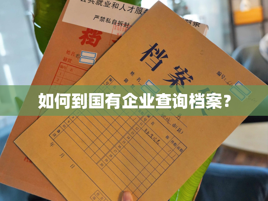 如何到国有企业查询档案？