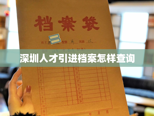 深圳人才引进档案怎样查询