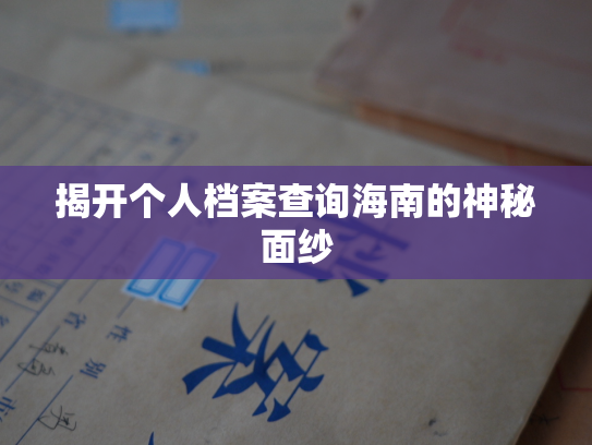 揭开个人档案查询海南的神秘面纱