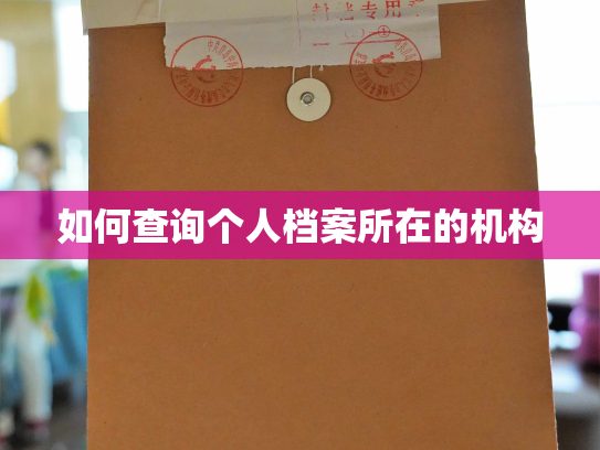 如何查询个人档案所在的机构