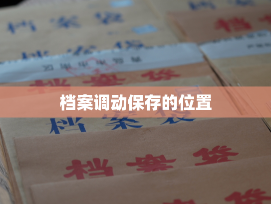 档案调动保存的位置