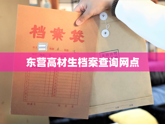 东营高材生档案查询网点