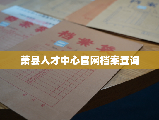 萧县人才中心官网档案查询