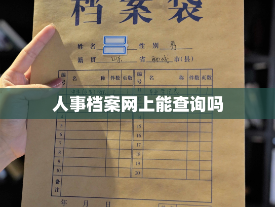 人事档案网上能查询吗