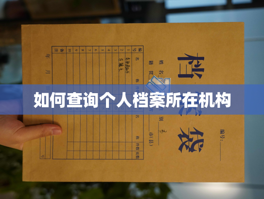如何查询个人档案所在机构