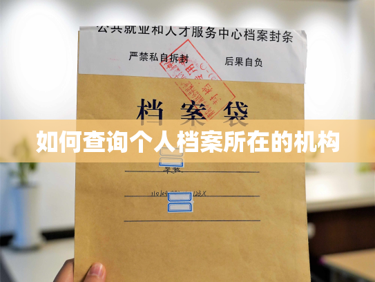 如何查询个人档案所在的机构