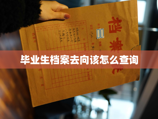 毕业生档案去向该怎么查询