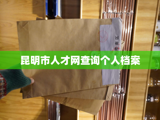 昆明市人才网查询个人档案