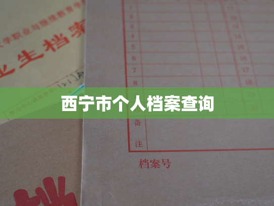西宁市个人档案查询