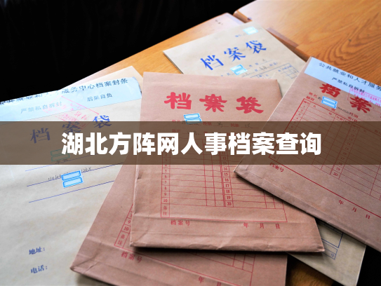 湖北方阵网人事档案查询