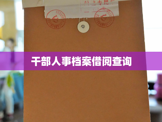 干部人事档案借阅查询