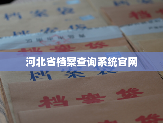 河北省档案查询系统官网