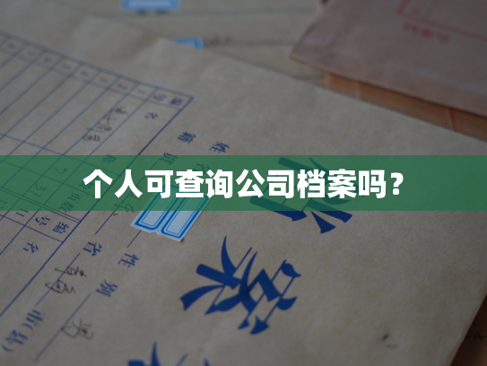 个人可查询公司档案吗？