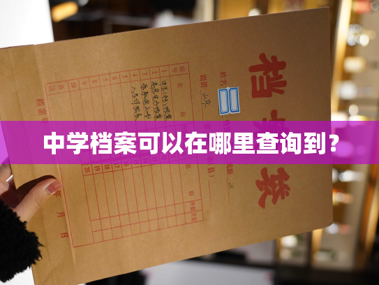 中学档案可以在哪里查询到？