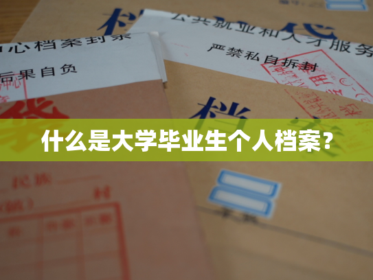 什么是大学毕业生个人档案？