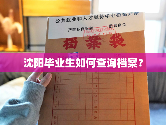 沈阳毕业生如何查询档案？