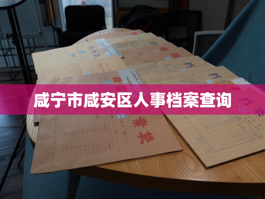 咸宁市咸安区人事档案查询