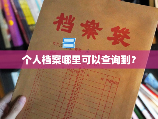 个人档案哪里可以查询到？
