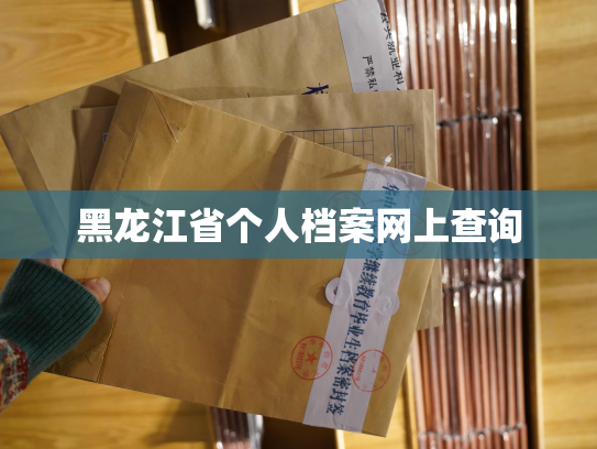 黑龙江省个人档案网上查询