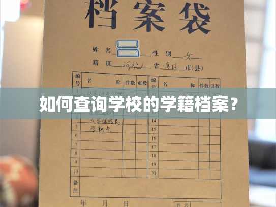 如何查询学校的学籍档案？