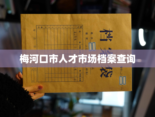 梅河口市人才市场档案查询