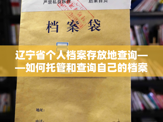 辽宁省个人档案存放地查询——如何托管和查询自己的档案