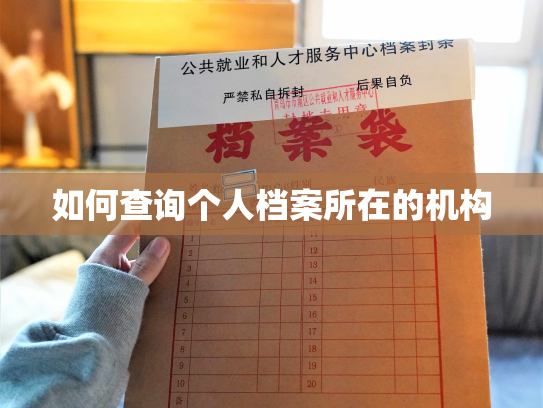 如何查询个人档案所在的机构