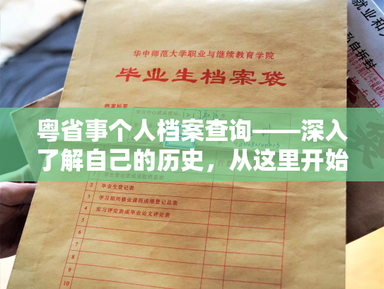 粤省事个人档案查询——深入了解自己的历史，从这里开始。