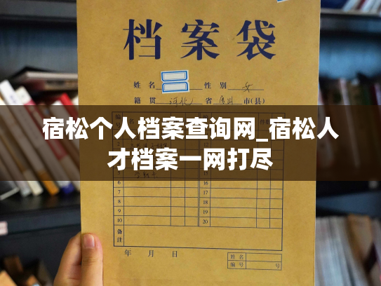 宿松个人档案查询网_宿松人才档案一网打尽