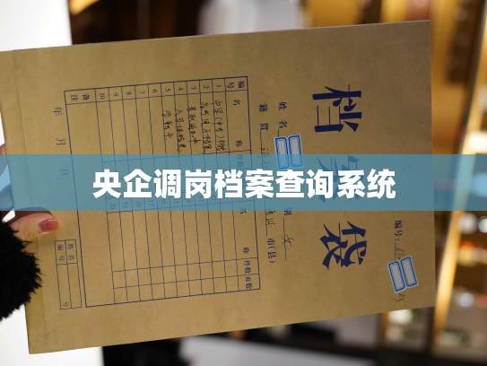 央企调岗档案查询系统