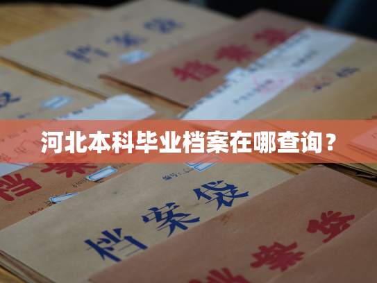 河北本科毕业档案在哪查询？