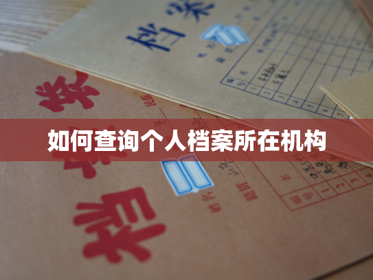 如何查询个人档案所在机构