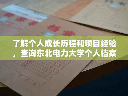 了解个人成长历程和项目经验，查询东北电力大学个人档案