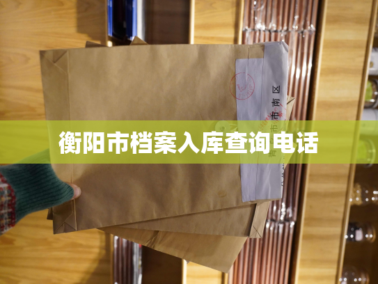 衡阳市档案入库查询电话