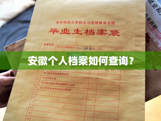 安徽个人档案如何查询？