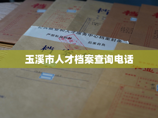 玉溪市人才档案查询电话