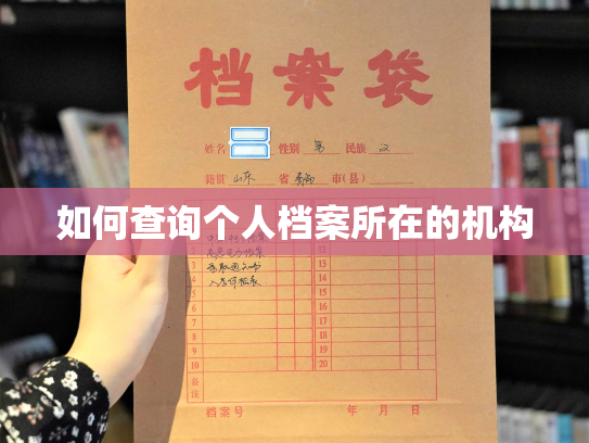 如何查询个人档案所在的机构