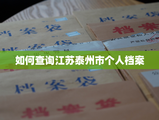 如何查询江苏泰州市个人档案