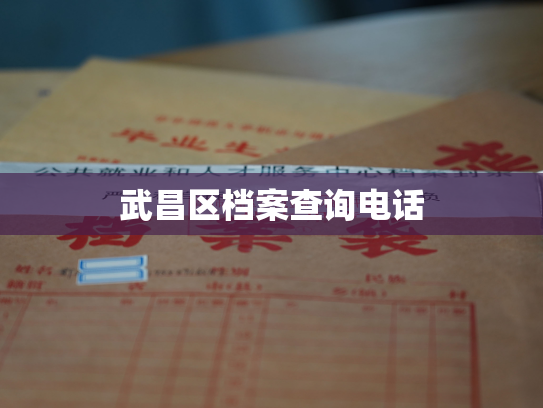 武昌区档案查询电话